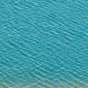 Meet your Posher, Kalbart